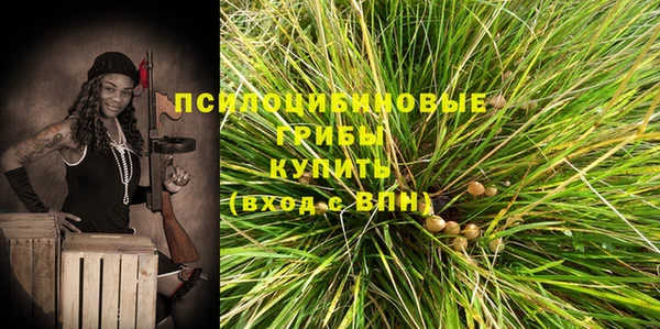 эйфоретик Баксан