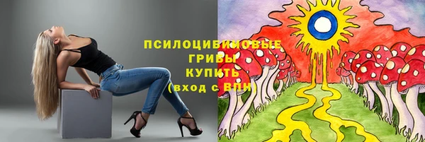 гидропоника Богданович