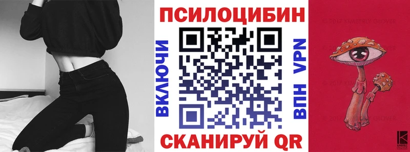 Псилоцибиновые грибы Psilocybe Богородицк