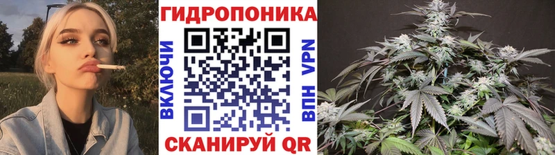 Канабис MAZAR  блэк спрут маркетплейс  Богородицк 
